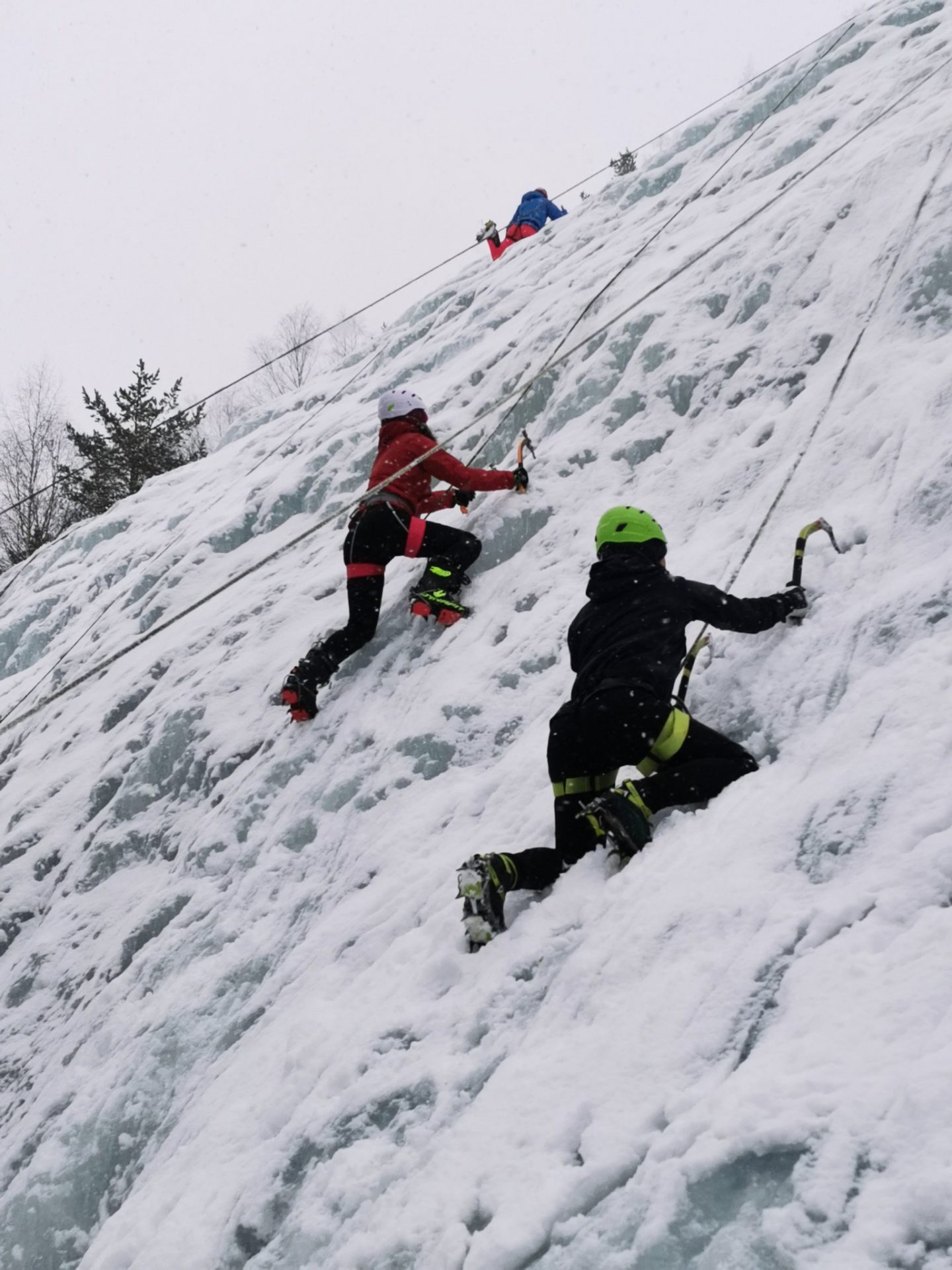 To elevar på møre folkehøgskule klatrar i iskledd fjellvegg, med tau og utstyr.